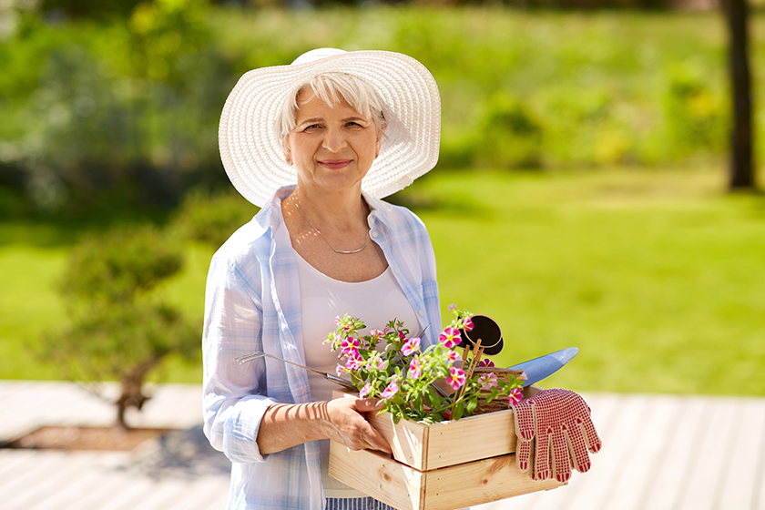 senior woman garden tools and flowers senior woman garden tools and flowers